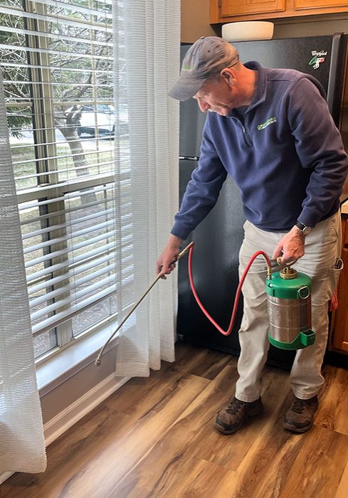 mike-pest-control mike-pest-control