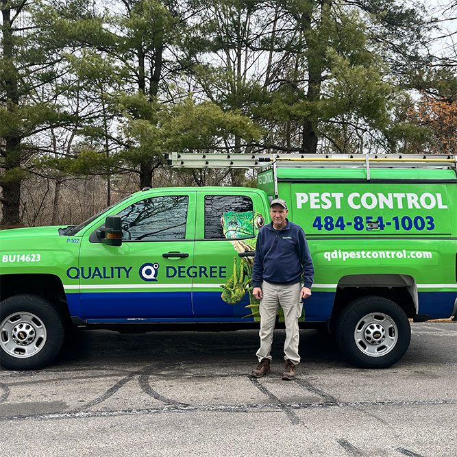 pest-control pest-control